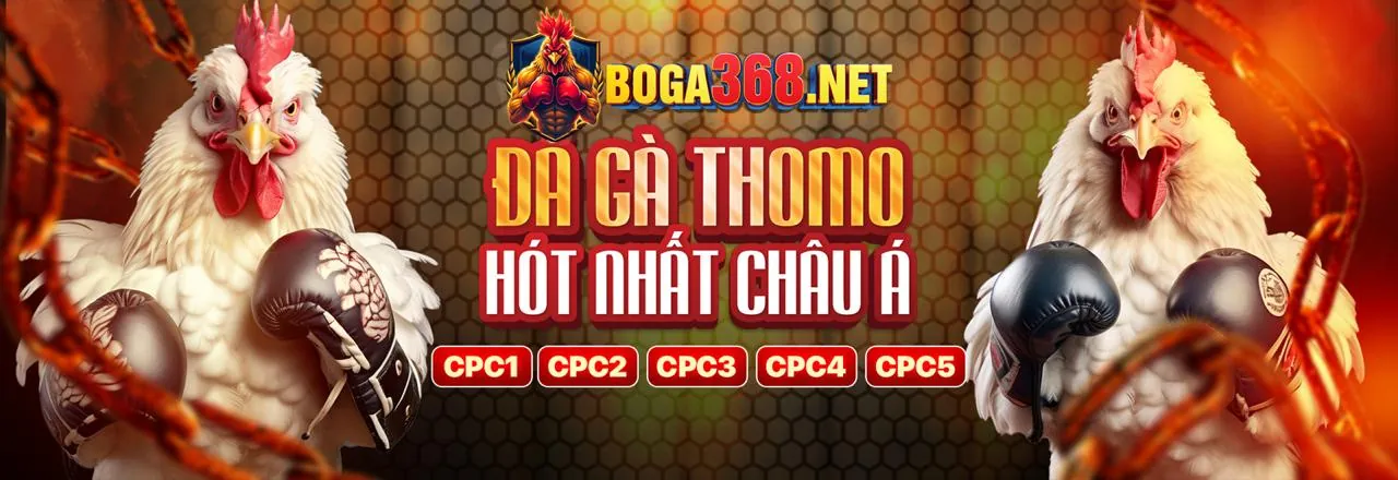 FVE88 Bắn Cá Khuyến Mãi 2026